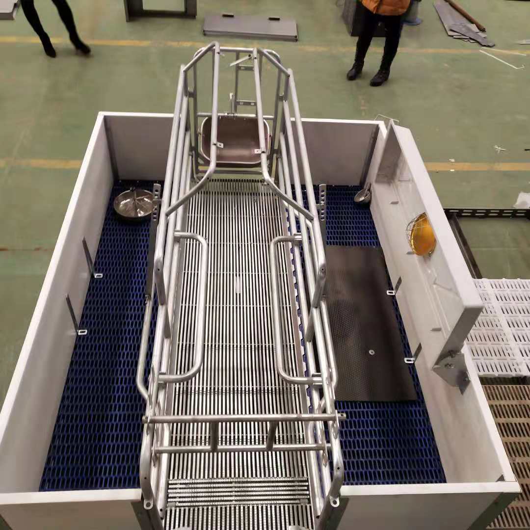 欧式母猪产床双体保育床分娩栏整体热镀锌加厚养猪设备产保两用