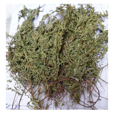 云南中药材软肝草 铁甲草 益肝草无硫新货正品包邮500克_阿里巴巴找货