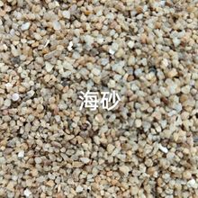 天然海沙滤料废水过滤处理 海砂铸造石英硅砂中细河沙黄沙滤料