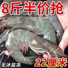 【盐冻大虾】青岛大虾超大海虾无冰鲜活冷冻新鲜海捕白虾对虾海鲜