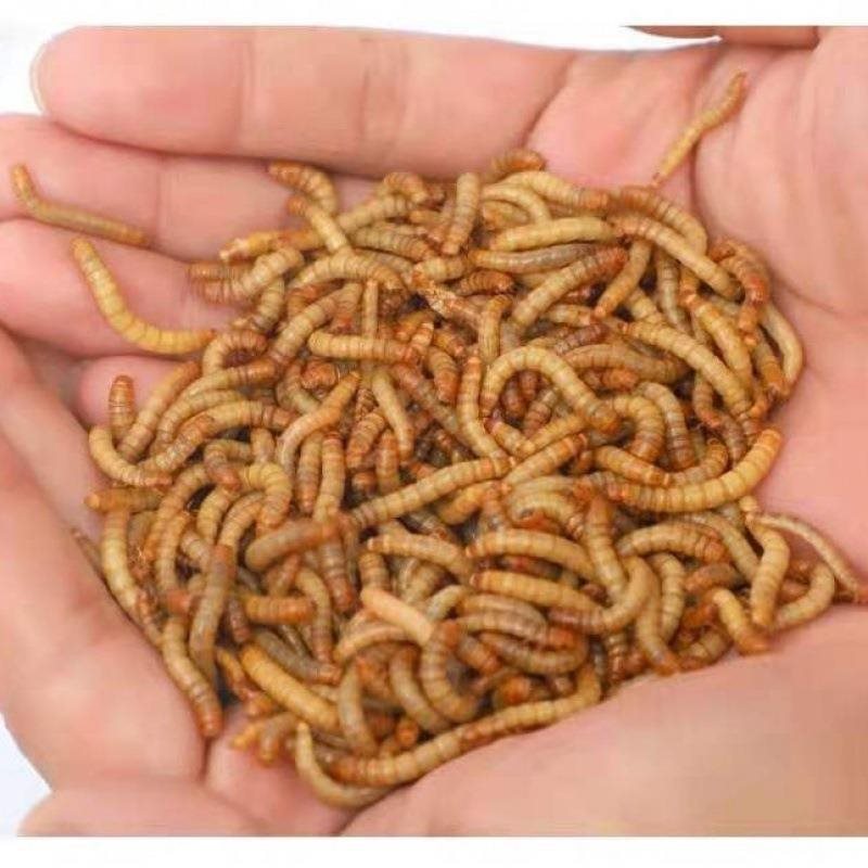 05起批量≥2件权益登录查看是否享首单包邮或首单立减成交评价规格