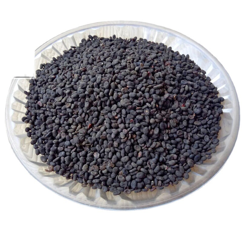 中药材补骨脂 破故纸 黑故子 质优新货 干净各种籽类药材一件代发