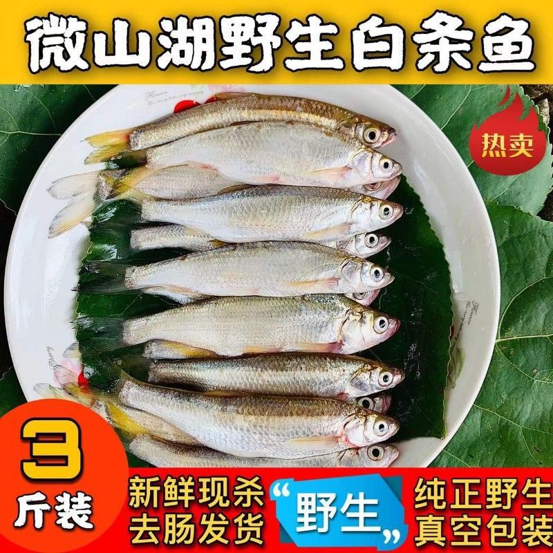 【现捕现】微山湖小白鱼川条鱼小刁子柳叶鱼淡水鱼翘嘴鱼鲜-阿里巴巴