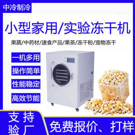 实验型冻干设备小型果蔬真空冷冻干燥机冻干粉宠物食品冻干机家用
