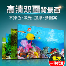 鱼缸背景纸画高清图3d立体鱼缸壁纸背景画双面水族箱装饰鱼缸贴纸