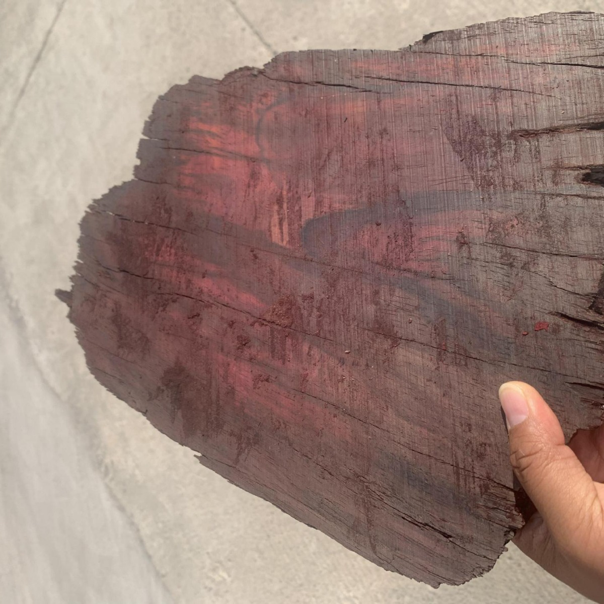 大叶紫檀 马达加斯加所罗门大叶紫檀 马达加斯加大叶紫檀 木料板