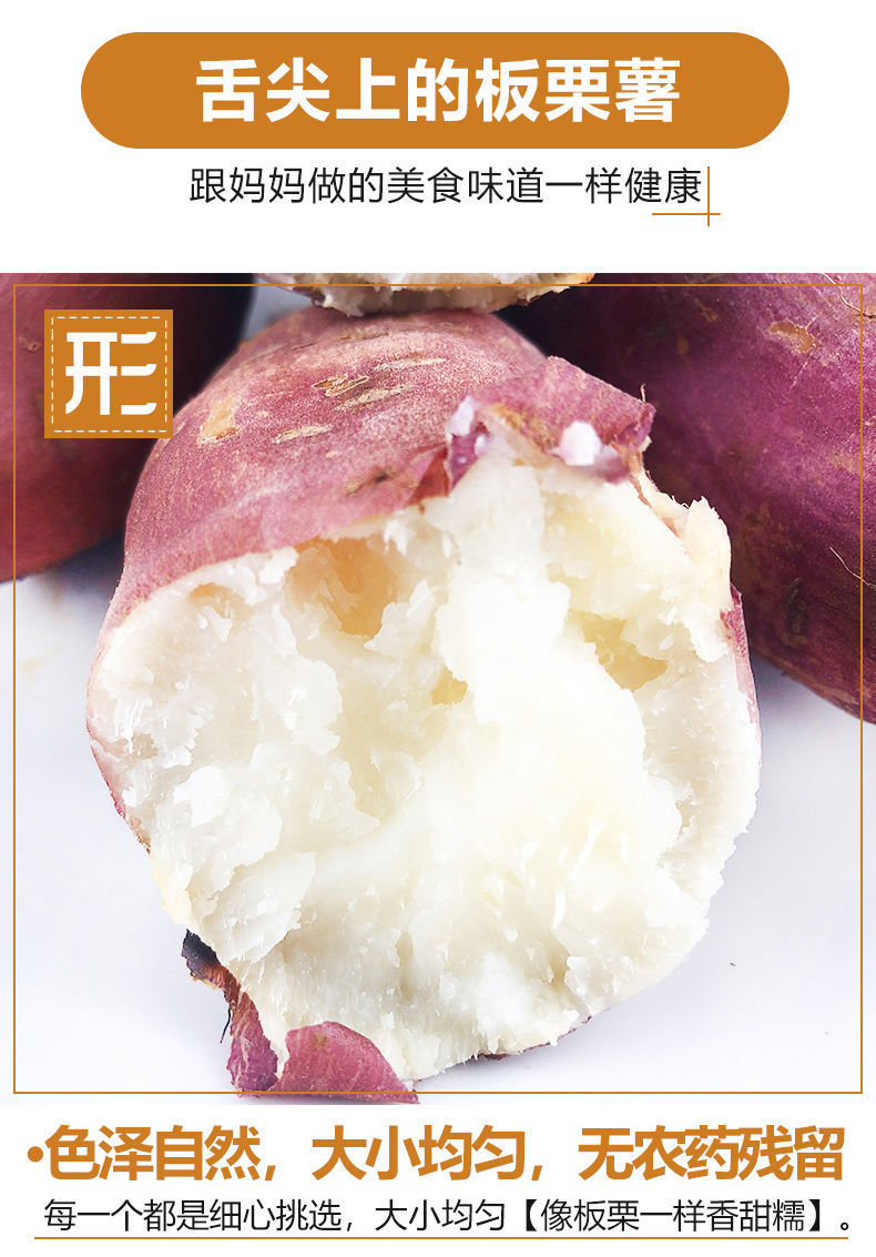 白心红薯板栗薯现挖农家老品种地瓜新鲜白瓤番薯红苕多规格可选