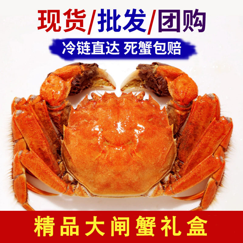 大闸蟹鲜活满黄母螃蟹特大现货海鲜水产礼盒装10两河蟹清水毛蟹