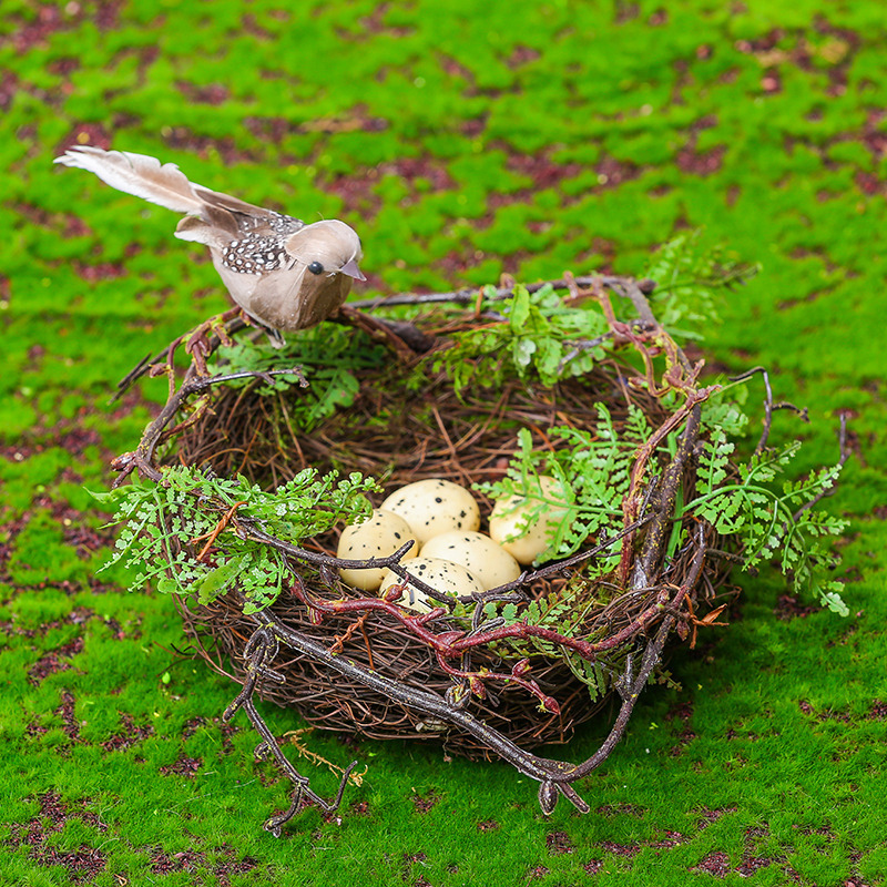 草编树枝鸟巢鸟窝幼儿园植物角环创diy材料自然装饰布置森系挂饰
