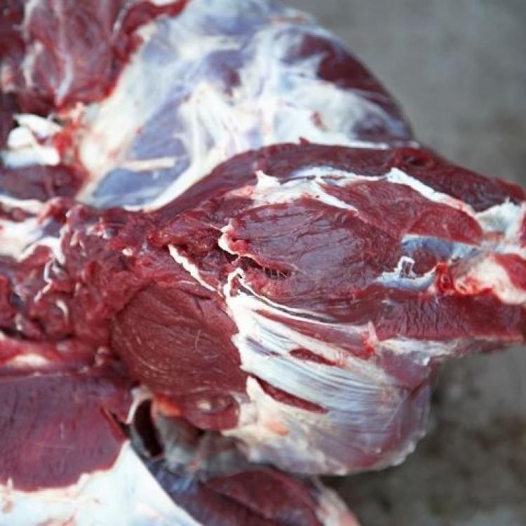 5斤长白山鹿肉新鲜现非熟食冷冻梅花鹿肉新鲜冷冻真空顺丰包邮包