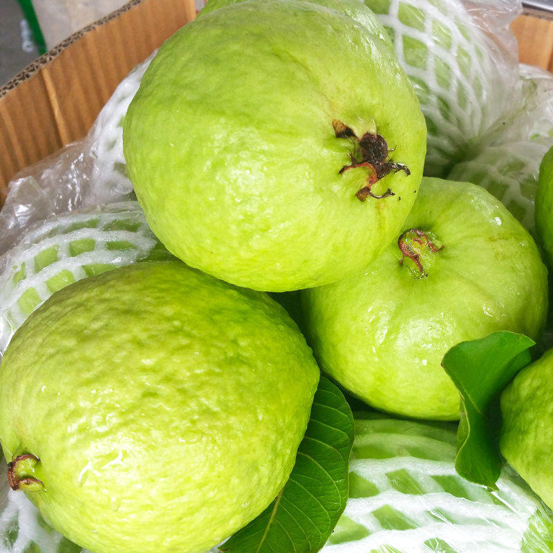 番石榴福建漳州软心土芭乐白心新鲜水果1-9斤装香甜糯