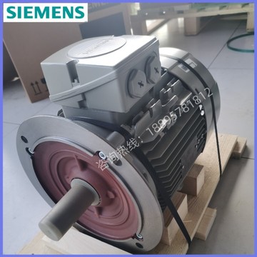 德国进口西门子电机1le1001-1db23-4fa4-z11kw4pb5三相异步电动机