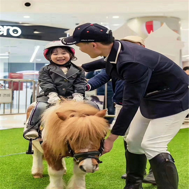 萌宠展活体羊驼租赁展览 出售土拨鼠活体羊驼活体 矮马 狐獴 旱獭