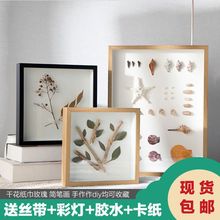 立体中空标本框6寸10diy手工蝴蝶昆虫粘土放干花相框摆台画框