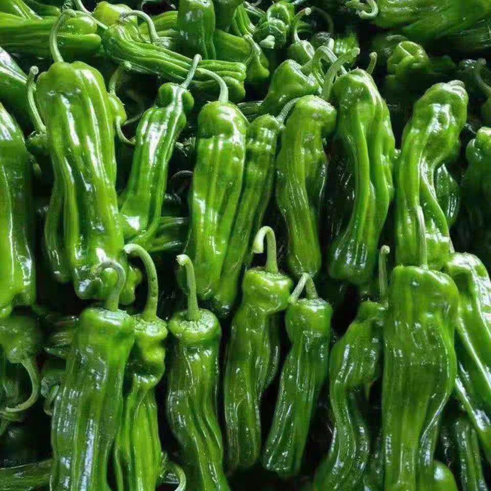 尖辣椒新鲜虎皮青椒农家菜蔬菜尖椒杭椒辣线椒二荆条薄皮绿青辣椒