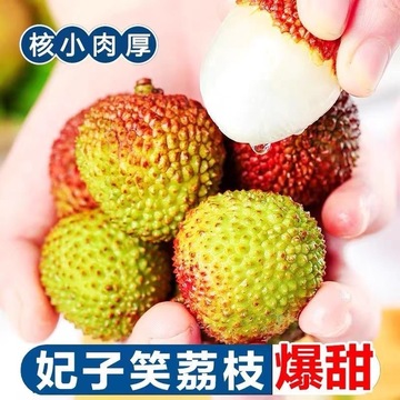 新鲜广东荔枝海南桂花香现摘现发当季水果1/3/5斤妃子笑顺丰冷链