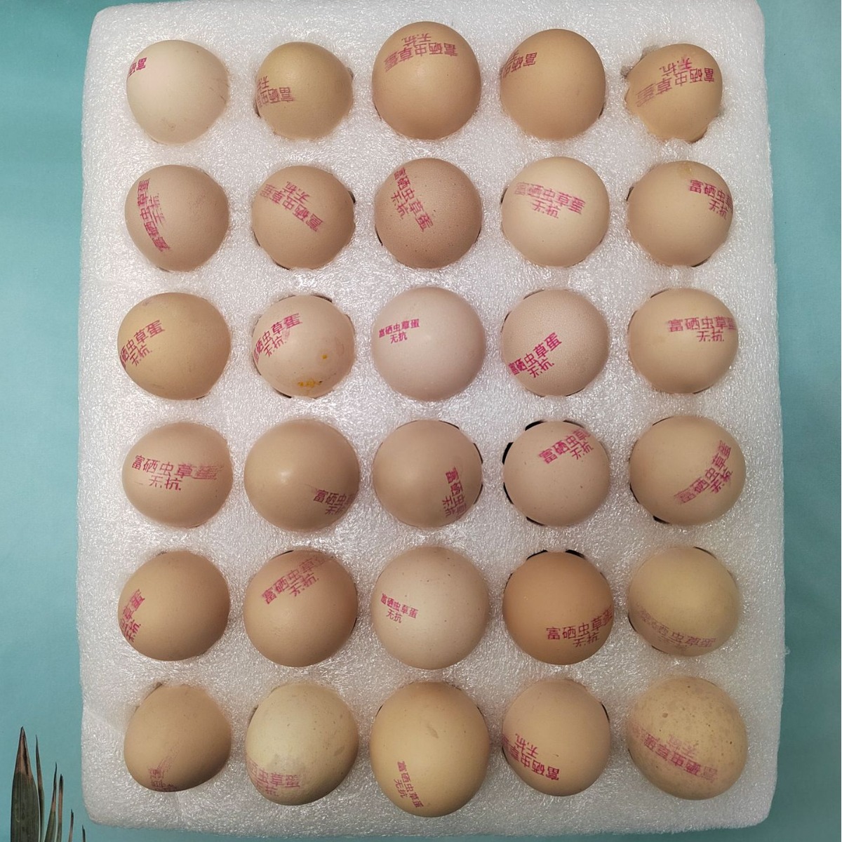 富硒虫草蛋高端礼盒30枚-阿里巴巴