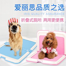 下司犬贵州凯里五红纯种下司公狗长毛一岁半狗狗活体纯种下司猎犬