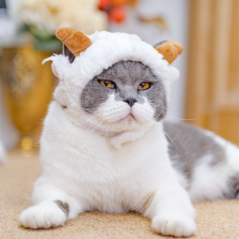 2021 New Cross-Border Cat Headgear Cute Panda Disguise Cap Pet Hat Cat and Dog Wansheng Headdress