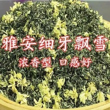 四川雅安蒙顶山飘雪茉莉花茶茉莉飘雪2023新茶浓香型袋装跨境电商