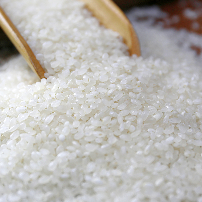 20年新东北盘锦蟹田大米20斤10kg农家优质鲜米珍珠米东北特产粳米