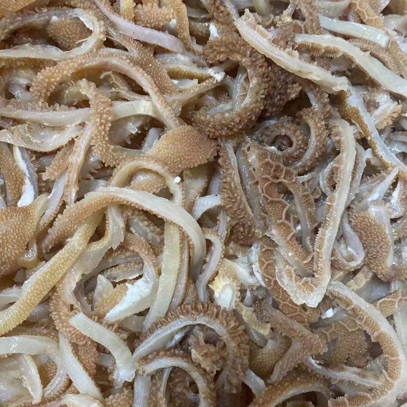 毛肚批发黑毛肚新鲜羊肚丝水发肚5斤火锅冒菜串串麻辣烫食材一件