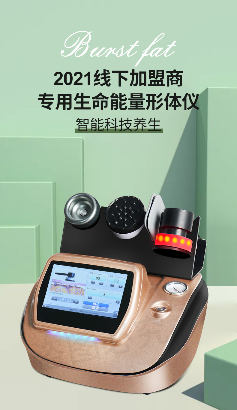 魔奇镜生命能量仪四季养生dds生物电疗仪器砭石经络推疏通按摩器