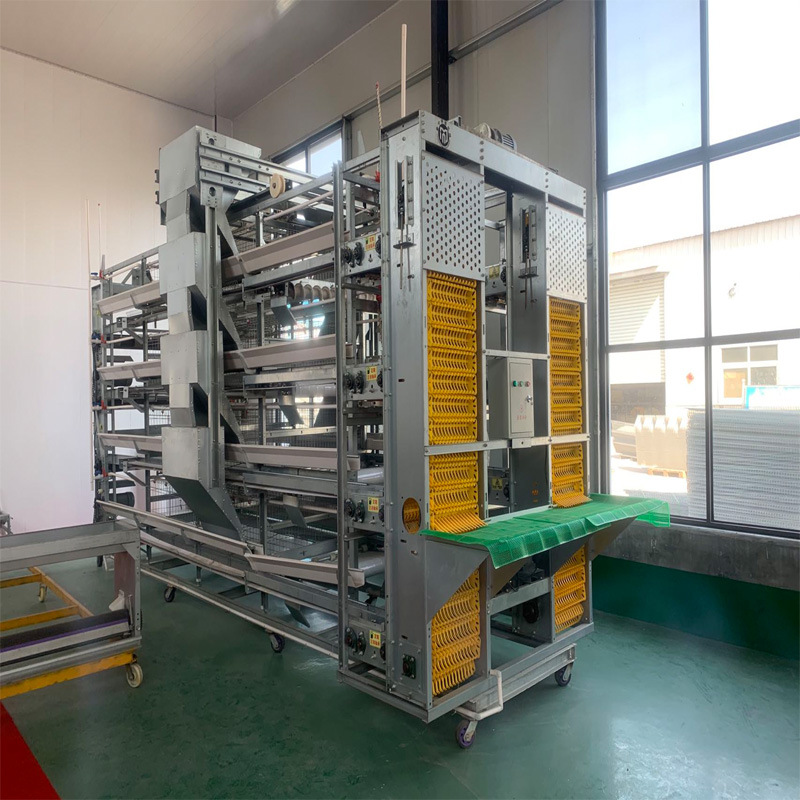 蛋鸡笼蛋鸡自动化养殖设备鸡笼自动清粪捡蛋机新款蛋鸡笼自动捡蛋