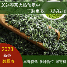 碧螺春2023新茶明前特级浓香型绿茶散装茶叶批发四川绿茶早春茶叶