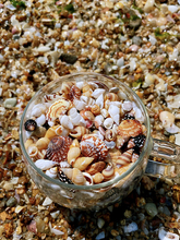 【真贝壳 无染色 可看货】六七种超小贝壳海螺组合 迷你天然贝壳