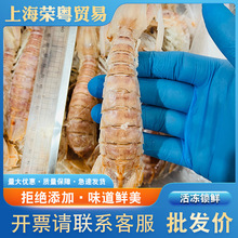 熟冻富贵虾超大虾姑活虾精制椒盐香辣皮皮虾冷冻海鲜水产