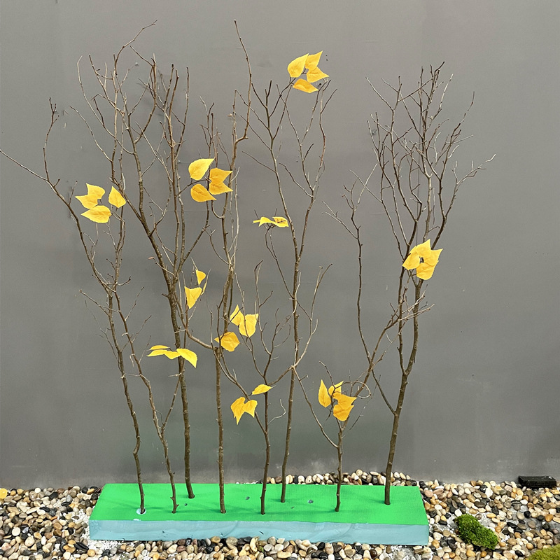 批发推荐干树枝装饰材料 木段小木棍幼儿园手工diy原木树干枯森系