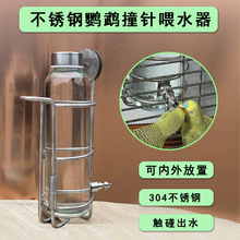 304不锈钢自动饮水器撞针喂水器鸟用龙猫水壶架高硼硅玻璃