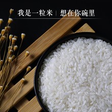 饭大师五常大米锁鲜米5kg独立小包米10斤黑龙江大米新米东北大米
