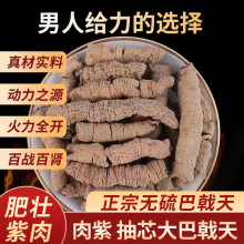 巴戟天中药材店铺250g非杜仲野生特级买二发500g肉苁蓉巴戟