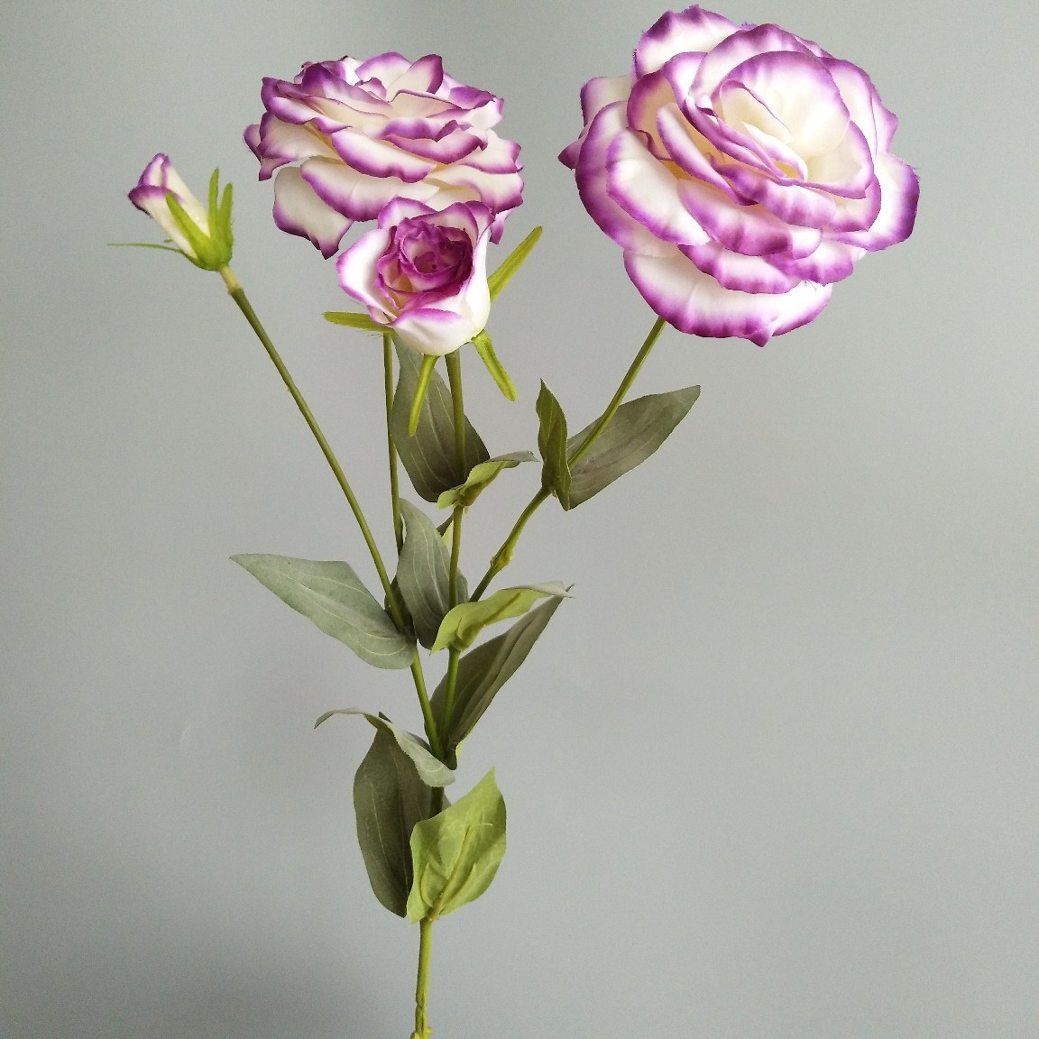 4头洋桔梗龙胆花 现代家居样板间装饰婚庆摄影直播道具仿真花假花