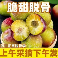 超级好吃】四川脱骨红李子青脆脱半边红茵空心凤凰五月脆水果整箱