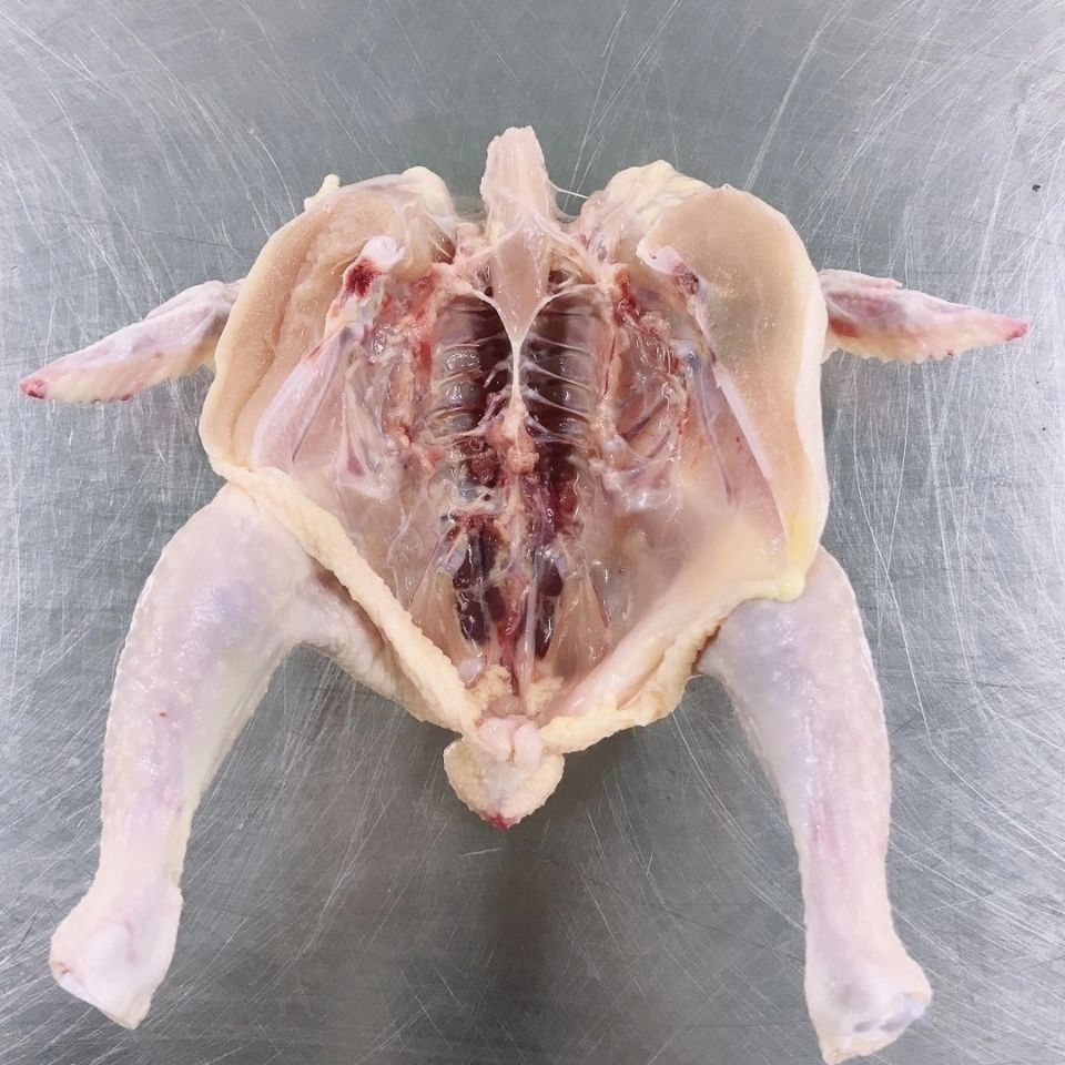 鑫伊明西装鸡未腌冷冻西装鸡 去头去爪整鸡炸鸡 童子鸡叫了个鸡