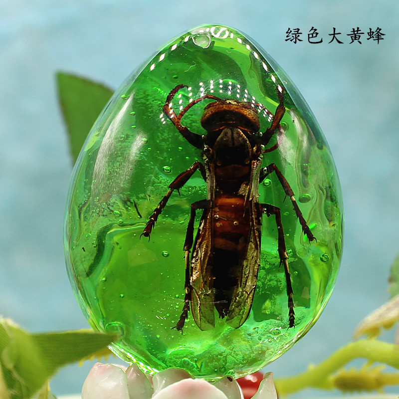 大号真昆虫琥珀挂坠 个性水晶项链吊坠 diy树脂饰品配件