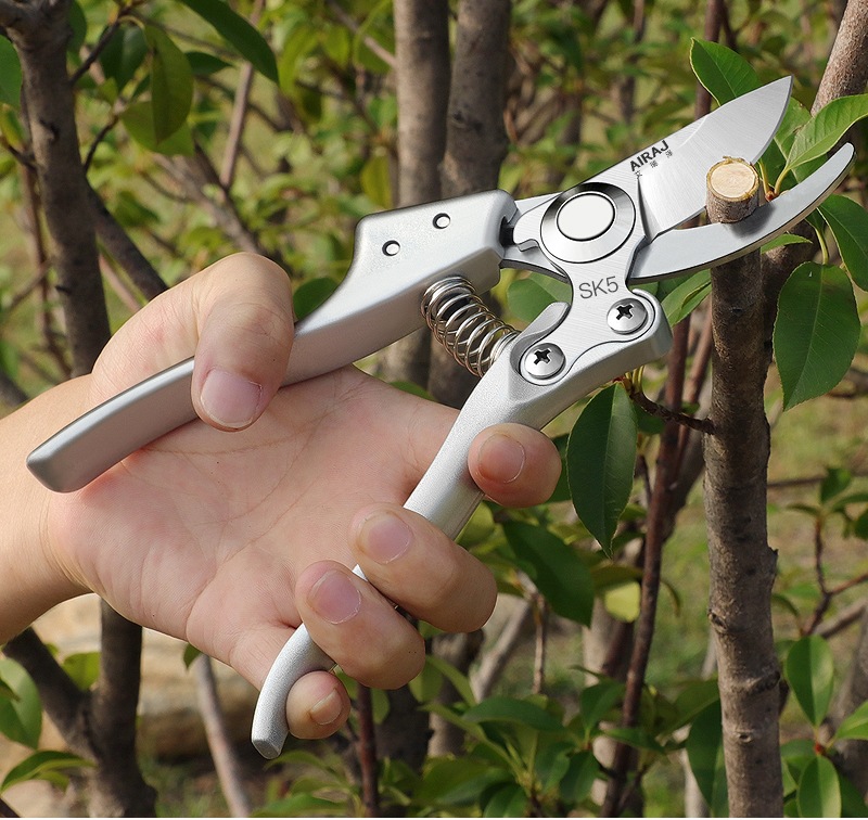 果树修枝剪花枝专用修剪花卉剪刀盆景剪树枝剪子手动sk5