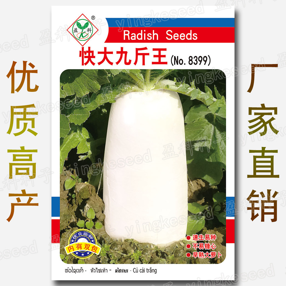 迟抽九斤王白萝卜种子 农田菜园肉质根纤维少嫩脆大白萝卜蔬菜籽