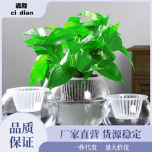 水培玻璃瓶创意植物透明玻璃花瓶容器绿萝花盆圆球形小鱼缸器皿