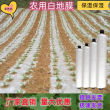 黑白色地膜农用种植保温保湿胶纸塑料薄膜大棚蔬菜果树园建筑护路