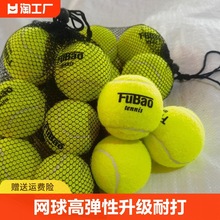网球高弹性升级耐打训练款比赛专用筋膜按摩宠物球高弹力耐磨网球