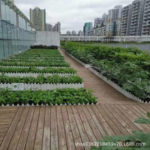 映天青品牌屋顶轻质土种菜土供应植物生长营养成分重量轻