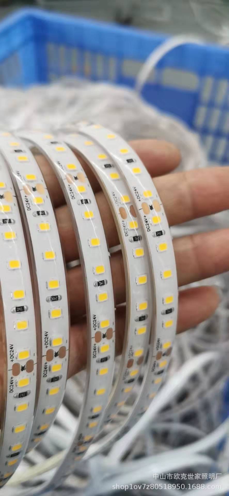 led灯带硅胶一体挤出 ip68水下灯带游泳池鱼缸潜水灯带防水灯带