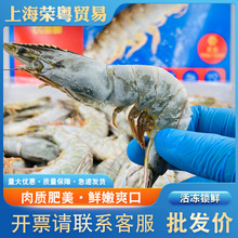 新鲜冷冻正大白对虾海鲜白虾批发餐饮食材供应