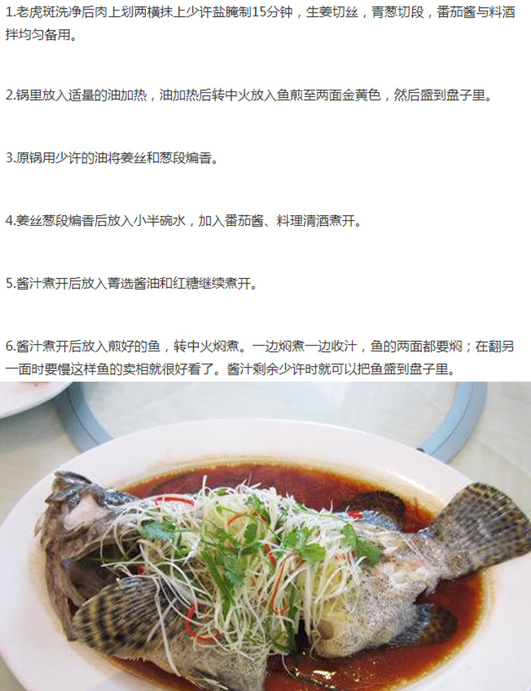 海鲜批发鲜活冷冻冰鲜石斑鱼海鱼珍珠斑龙胆石斑水产酒楼餐厅食材