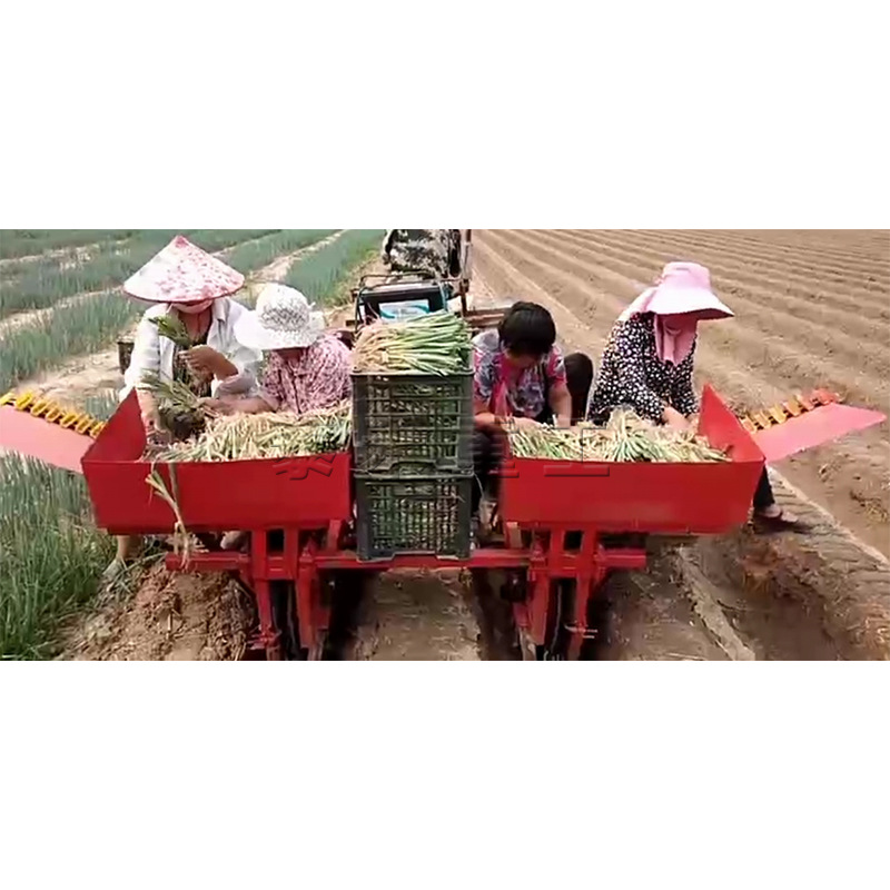 现货供应岔葱移栽机拖拉机后置大葱移栽机大面积种植自动栽葱机
