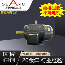 河北西玛厂家直供YE3卧式4极三相异步电动机380v矿用电机